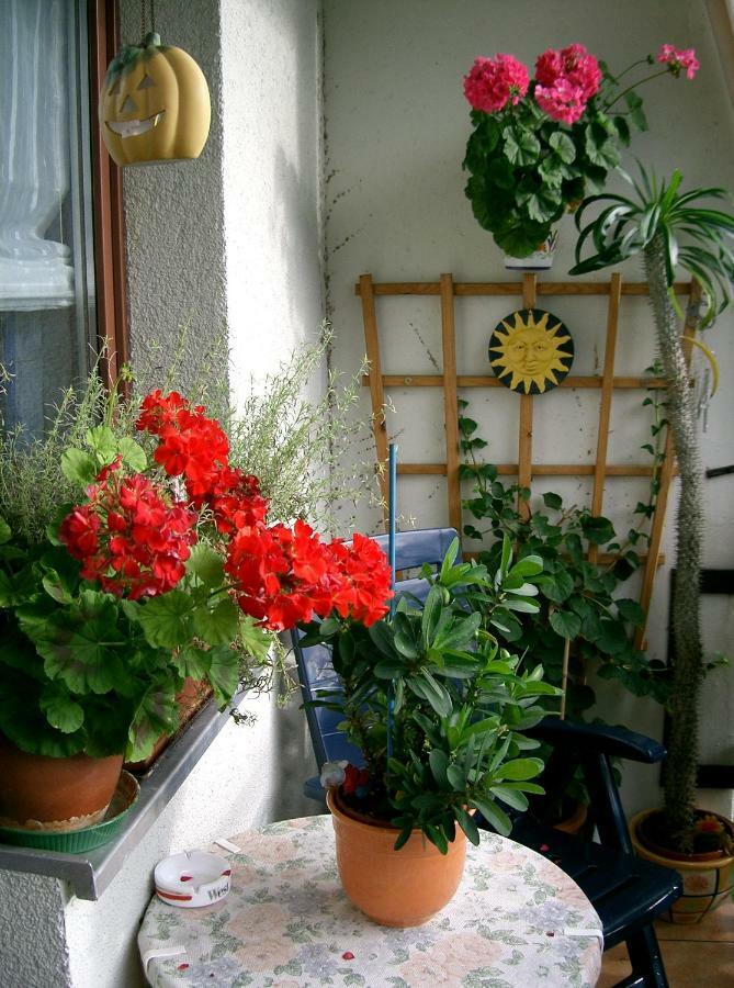 2-Zimmer-Ferienwohnung "Garten Der Welt" Berlin Zewnętrze zdjęcie